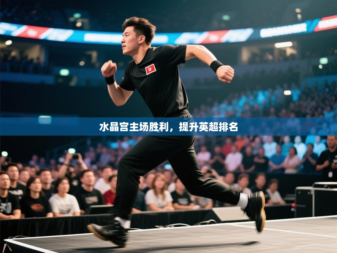 水晶宫主场胜利,提升英超排名 第2张