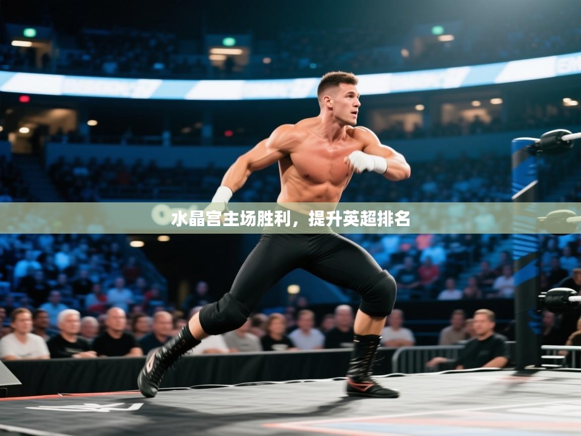 水晶宫主场胜利,提升英超排名 第1张