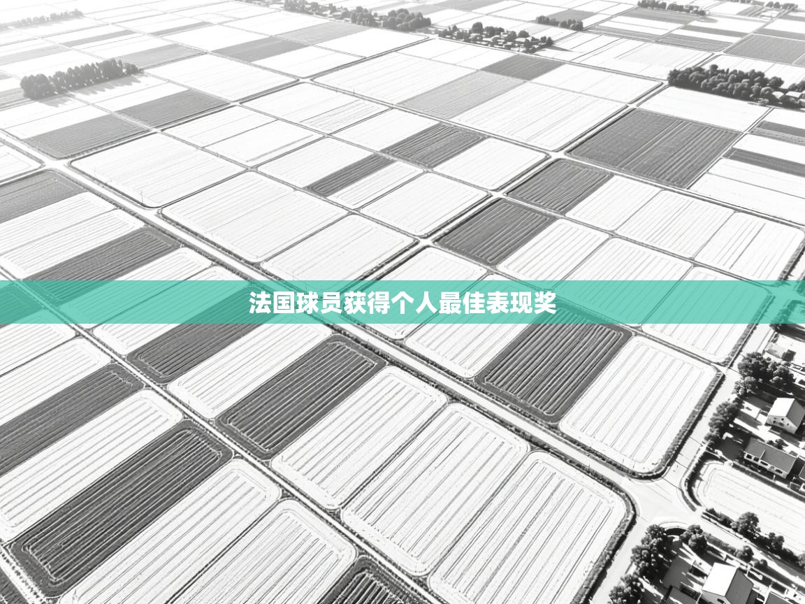 法国球员获得个人最佳表现奖 第1张