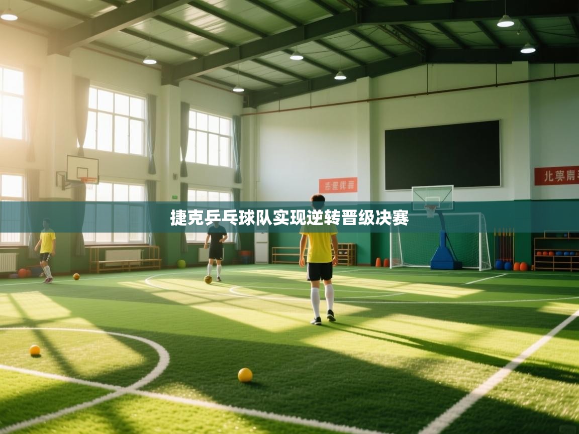 捷克乒乓球队实现逆转晋级决赛 第2张