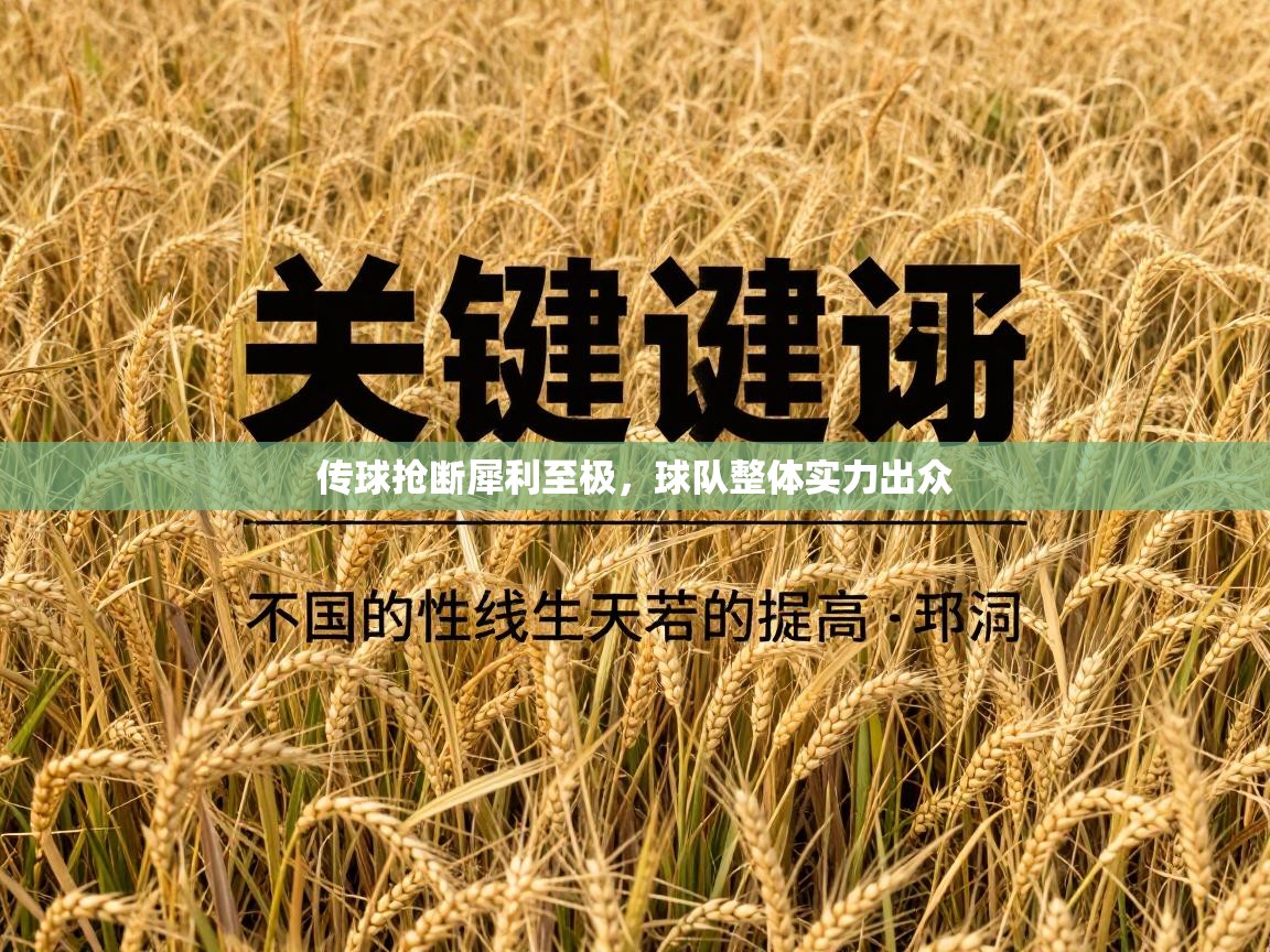 传球抢断犀利至极，球队整体实力出众  第1张